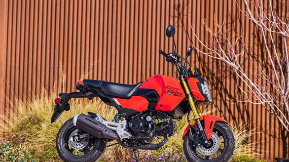 2025 Honda Grom First Ride Review and RACE